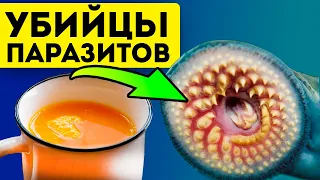 100% доктор это скроет и выпишет самые дорогие лекарства! Средства от паразитов