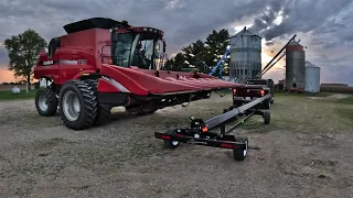 Picking a WHOPPING 3 acres of corn before the storm.