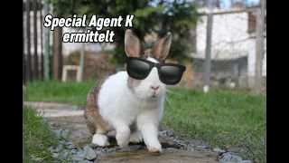 Rüdiger wurde entführt?! Special Agent K ermittelt🕶️🕵️