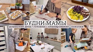 Готовлю🧑‍🍳 ПЛАНИРОВАНИЕ ПО 12 НЕДЕЛЬ🖊️ Покупки🛍️ РУТИНЫ 🧺 Продуктивные будни мамы