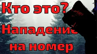 Случай на охоте. Что за зверь вышел на номер?