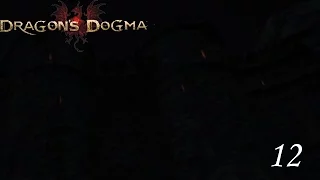 Let's Play Dragon's Dogma (German) Part 12: Der Weg zur Schattenfeste