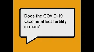 Does the Covid-19 vaccine affect fertility in men?