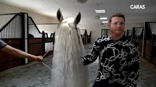 Canelo Álvarez y su afición por los caballos - Revista Caras México