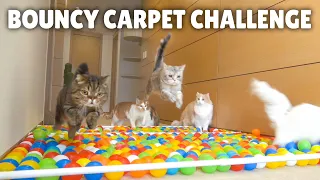 Bouncy Carpet Challenge! | Kittisaurus