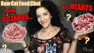 Raw Cat Food Q&A: Can you use CHICKEN GIZZARDS along with (or instead of) HEARTS?! 🤔🙀