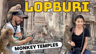 "Exploring Lopburi, Thailand: Monkey City Madness | A Vlog Adventure"