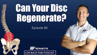 Can Your Discs Regenerate? | Low Back Pain Podcast #85