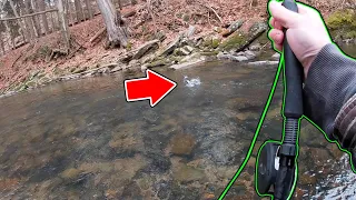 FLY FISHING for STOCKED TROUT (PA Trout Fishing 2023)