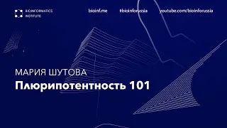 Плюрипотентность 101 | Мария Шутова