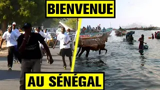 On est parti dormir chez l'habitant AU SÉNÉGAL !