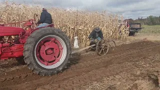 Digging potatoes with digger from 1886!!