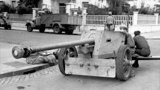 Pak 40 Germany Artillery