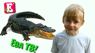 Влог на канале Ева ТВ "Шоу крокодилов на острове Пхукет".