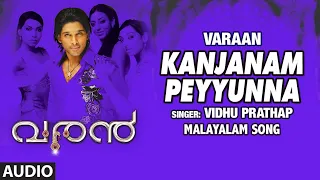 Kanjanam Peyyunna Full Audio Song | Malayalam Varaan Film |Allu Arjun, Banushree M | Mani Sharma
