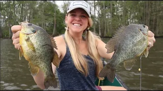 Giant Red-Ear Smackdown!!!! CATCH and COOK Spicy Fried Fish!!!!!