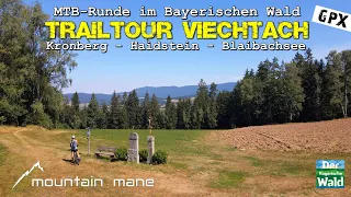 Viechtach Trailrunde zu Haidstein & Blaibachsee | MTB Bayerischer Wald