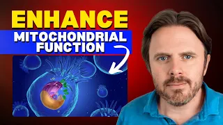 How to Enhance Your Mitochondrial Function - Top 5 Strategies