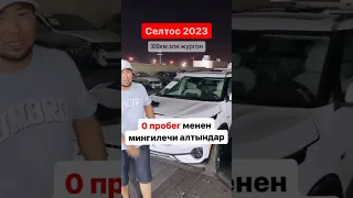 Киа Селтос 2023 300 Миль Куплен Аскар авто Дубай