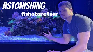 Incredible Aquarium Store | Full Tour