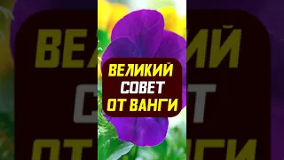 Великий совет от Ванги