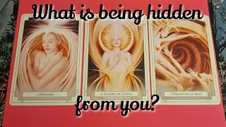 🔮What is being hidden from you? pick a card tarot, timeless ✨️