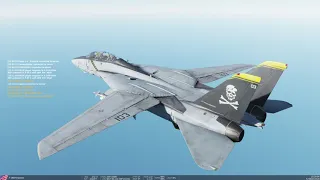 Full PvE CAP Sortie, F-14B Tomcat, DCS