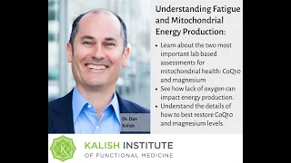 Mentorship Miniseries - Understanding Fatigue and Mitochondrial Energy Production