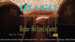 Шабо- центр культуры вина. Сыроварня. Shabo- land of wine. Ukraine.