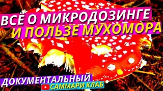 Мухоморы! Вся Правда О Мухоморном Микродозинге, Пользе, Вреде И Биохакинге l Документальный Фильм