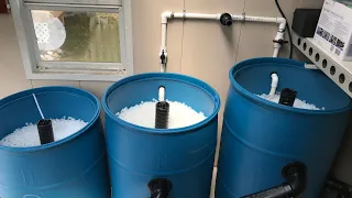 DIY 3-Barrel Filter System for Koi Pond - Adding Media and Starting Up