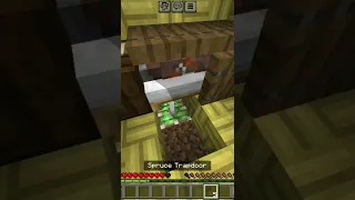 pranking a minecraft villager #minecraft #shorts