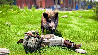 this boar sniffed out the juicy loot for me - RUST SOLO #7 S132 FINALE