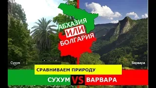 Абхазия или Болгария.  Сравниваем природу. Сухум и Варвара