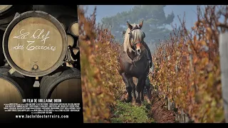 🍷 La Clef des Terroirs 🎥 Film documentaire français