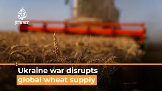 Ukraine war disrupts global grain market, wheat supply I AJ #shorts