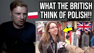 Reaction To What British People Think About Polish People