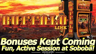 Buffalo Link Bonuses Kept Coming! Fun, Active Session at Soboba Casino