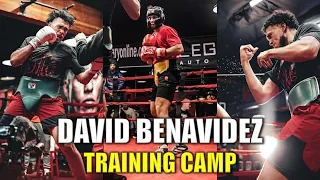 David Benavidez Training Camp