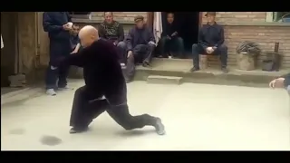 OLD SCHOOL SHAOLIN SEVEN STARS FIST / QI XING QUAN