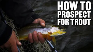 How to Find Trout with Tom Rosenbauer