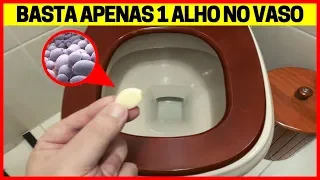 Coloque 1 ALHO Dentro do Vaso Sanitário Antes de Dormir e de Manhã Você Vai PIRAR com o RESULTADO