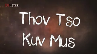 Sandy Moua - Thov Tso Kuv Mus (DJPeter Instrumental)