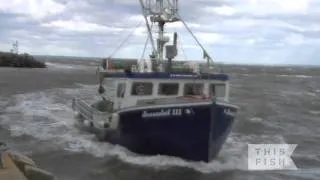 Roger LeBlanc, lobster fisherman in southwest Nova Scotia (LFA 34)