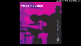 Voice Industrie - Aggressassin