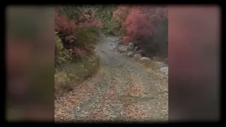 cougar stalking Utah hiker in terrifying  encounter