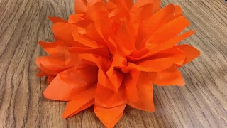 How to Make Tissue Paper Flowers for Day of the Dead