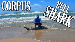 Caught THIS on a Public BEACH !!! | SOLO Fishing Corpus Christi Texas BULL SHARK