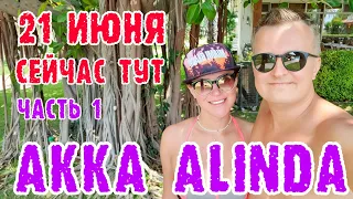 Akka Alinda Hotel 5* (Турция, Кемер, Кириш) - одним дублем весь отель.