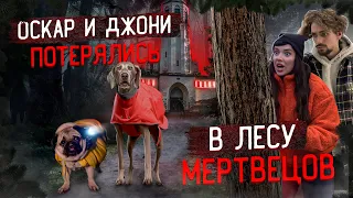 ОСКАР И ДЖОНИ ПОТЕРЯЛИСЬ В ЛЕСУ МЕРТВЕЦОВ...😰